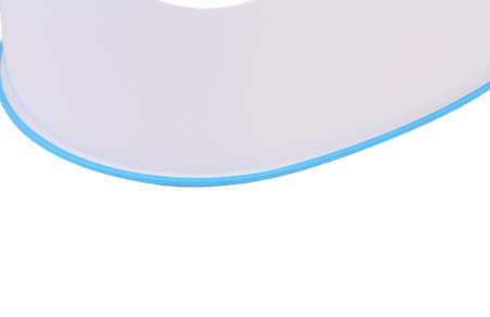 Ring magnet